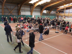 DEMI FINALES MINI TENNIS CHALLENGER 18 02 2017