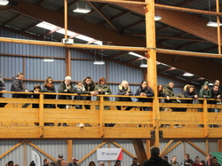 mini tennis challenger 2025