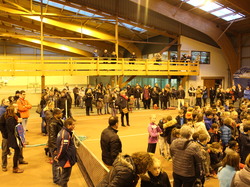 mini tennis challenger 22 01 2017